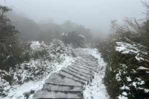 全台景點｜盤點台灣賞雪勝地 一起等待初雪降臨走進夢幻冰雪世界