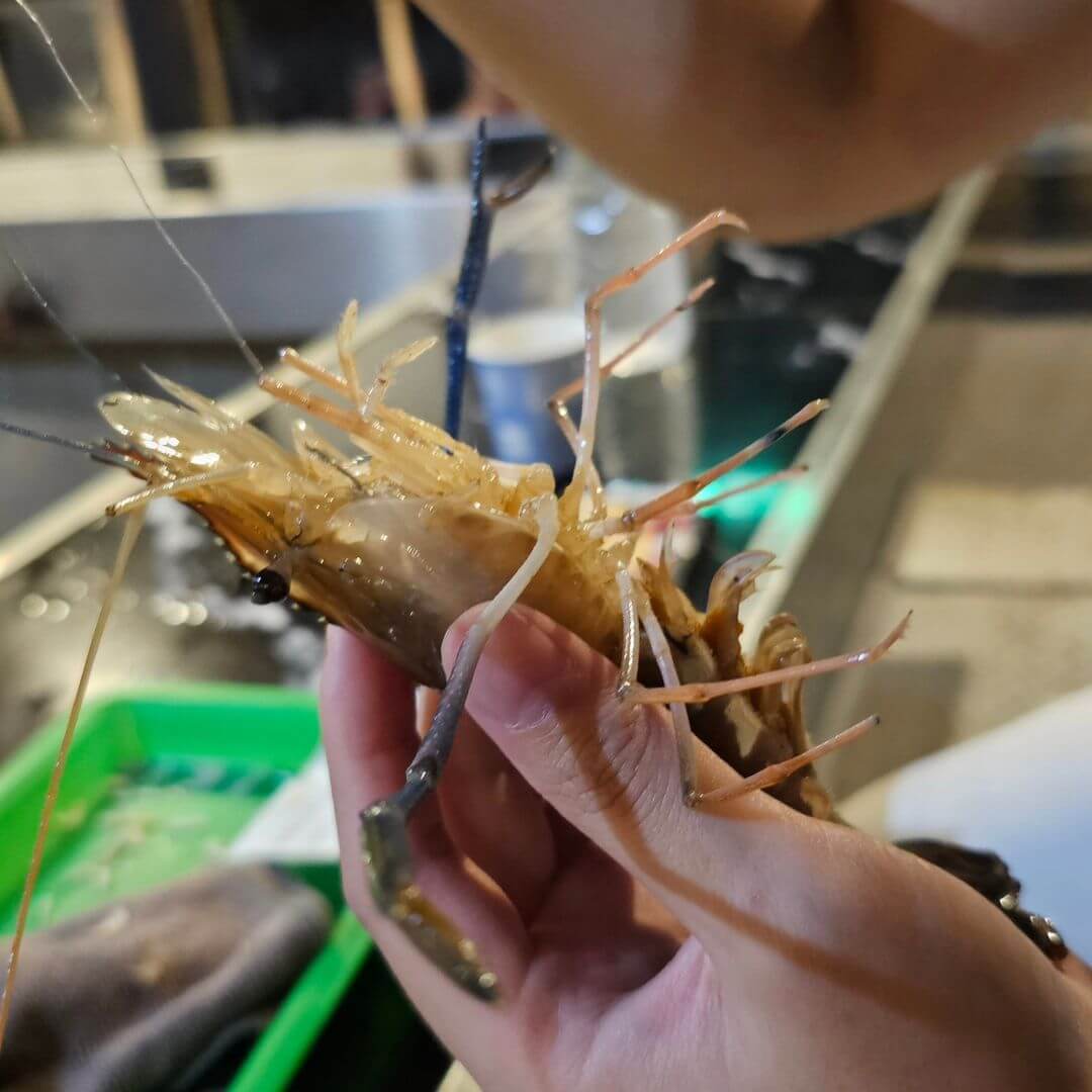 新北釣蝦場推薦|南傑釣蝦休閒會館