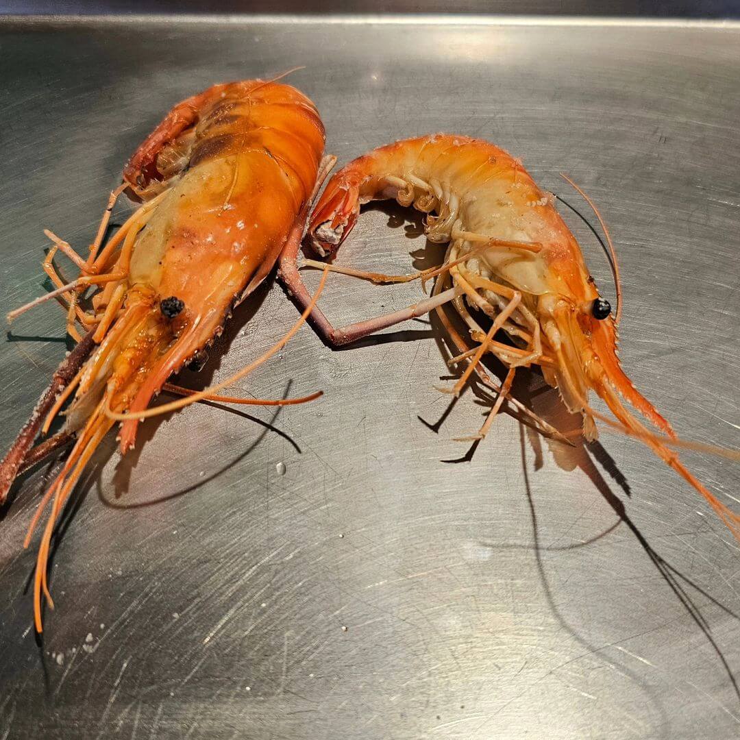 新北景點｜嚴選7間高評價釣蝦場 新手也能快速入坑