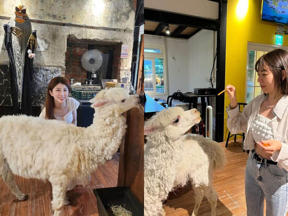 台北美食|台北近郊秘境!陽明山美國村 6 家質感餐廳,享受復古風情與美味料理