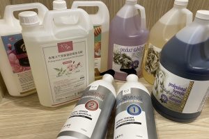 基隆寵物美容推薦 還你蓬鬆柔亮 給毛孩洗個無壓力暢快澡