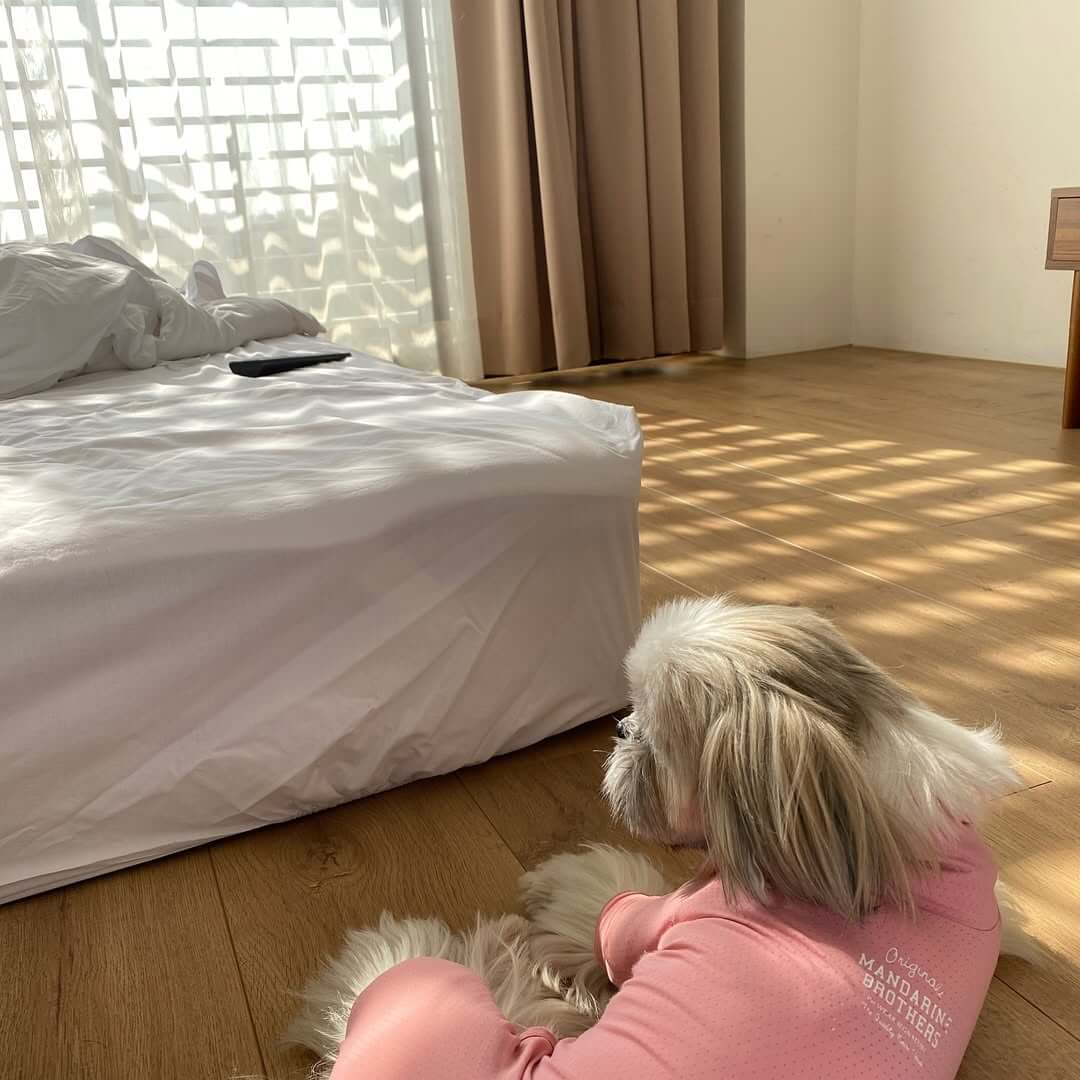 台南包棟住宿|來集感性於一身的情感城市,痛痛快快的和親朋好友們玩樂聚會吧!台南包棟住宿推薦這篇必收藏。