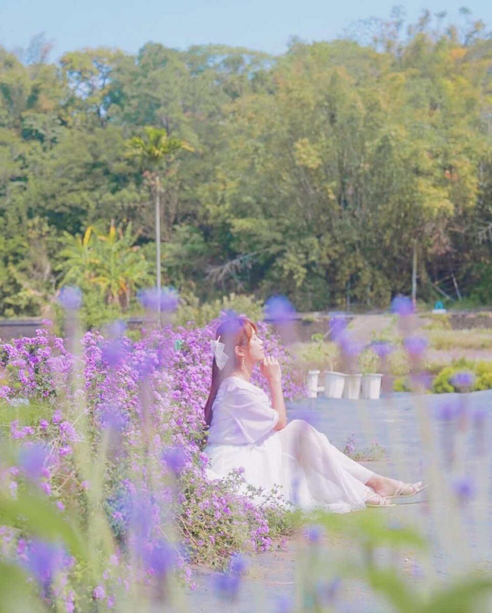 全台景點｜葛瑞絲香草田｜來場浪漫約會吧！嚴選2025薰衣草花田推薦