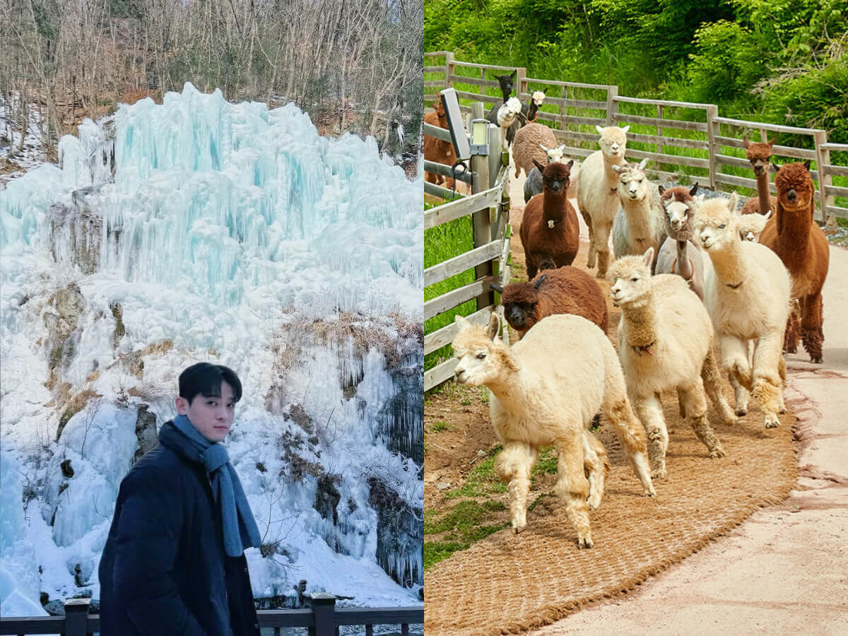 韓國一日遊行程推薦｜韓國自由行熱門景點，必看兩大表演一次收錄