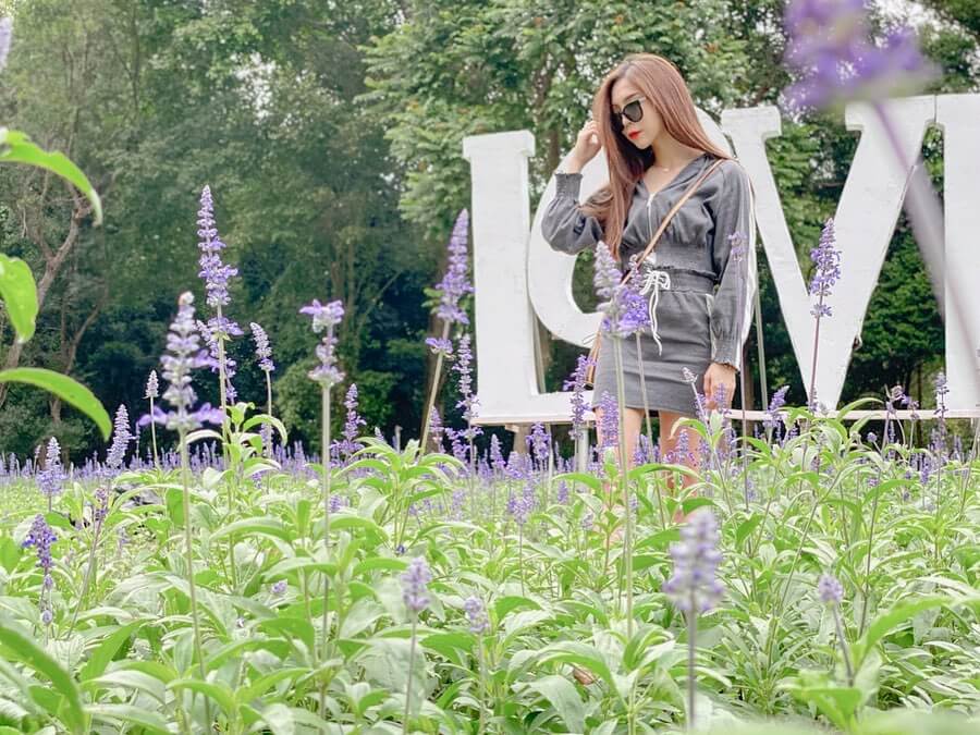 全台景點｜南元花園休閒農場｜來場浪漫約會吧！嚴選2025薰衣草花田推薦