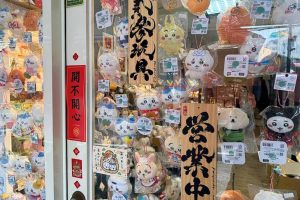 潮玩IP強勢來襲 彰化玩具專賣店網羅吉伊卡哇與設計師原創IP公仔娃娃