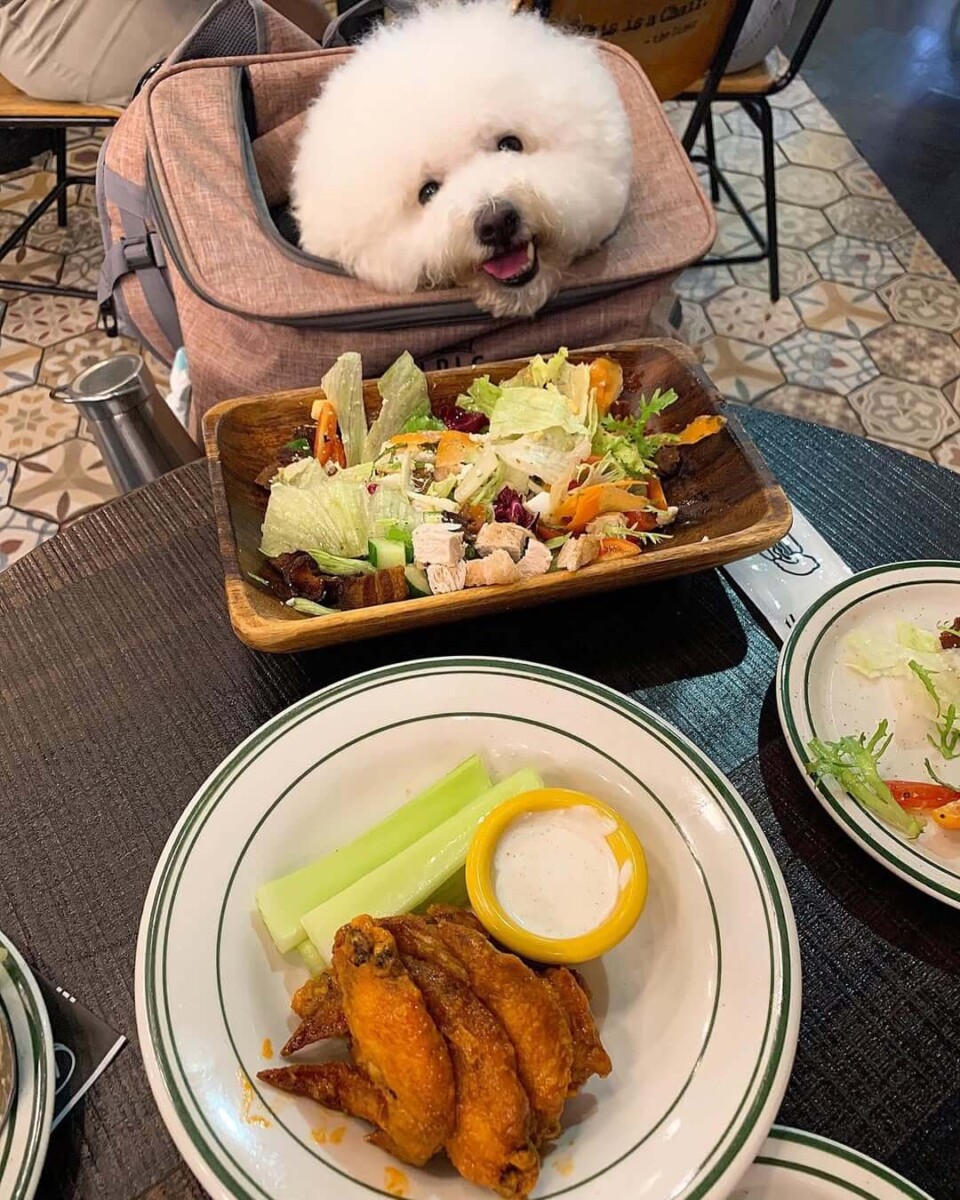 台北美食:南港軟體園區周邊美食TOP7