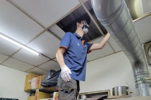 高雄除蟲公司推薦 專業防治蟑螂老鼠白蟻 一次搞定害蟲危機