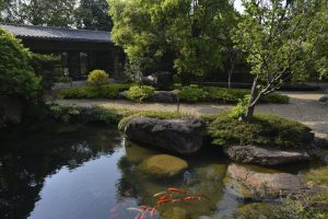 淡水無菜單料理秘境 預約制私廚饗宴 融合江浙與廣東風味