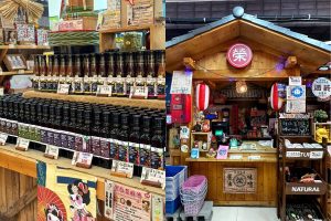 台中親子一日遊｜豐原一日三站免費玩 夜市遊戲＋玩具批發一次滿足
