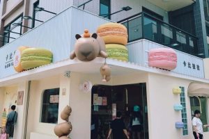 桃園美食｜卡皮巴拉又來了！中壢美食新店搶先報 超萌打卡甜點店『卡比拉拉台式馬卡龍專賣店』，開心果口味季節限定