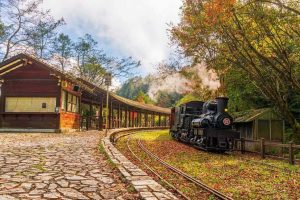 嘉義景點｜阿里山國家森林遊樂區不只看日出 阿里山眠月線秘境路線公開 走進嘉義最療癒森林