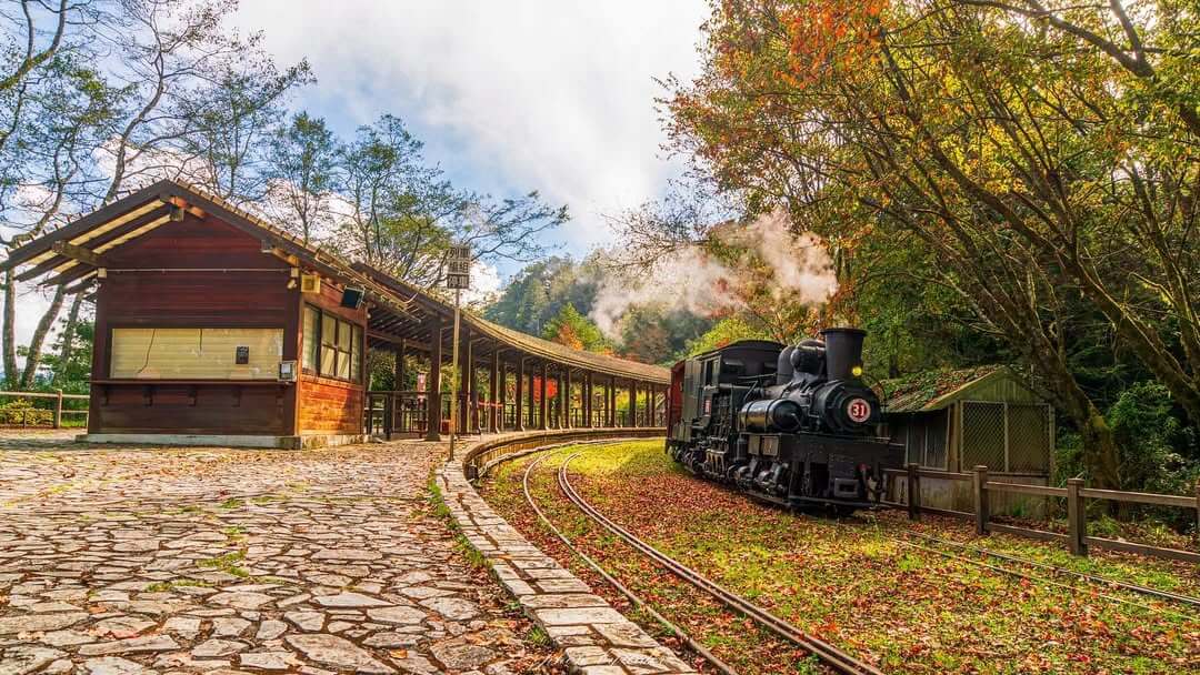 嘉義景點｜阿里山國家森林遊樂區不只看日出 阿里山眠月線秘境路線公開 走進嘉義最療癒森林