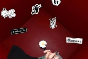 Timelab導入GD同款俯拍機