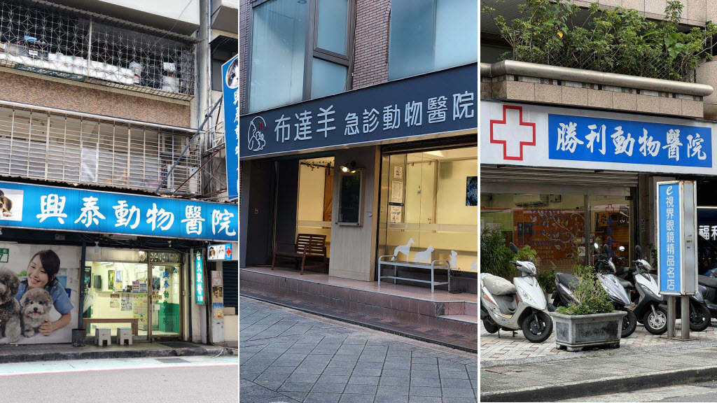 有健康問題時,專業的動物醫院讓毛孩可以安心就診快速恢復(黃浩為攝影師提供)