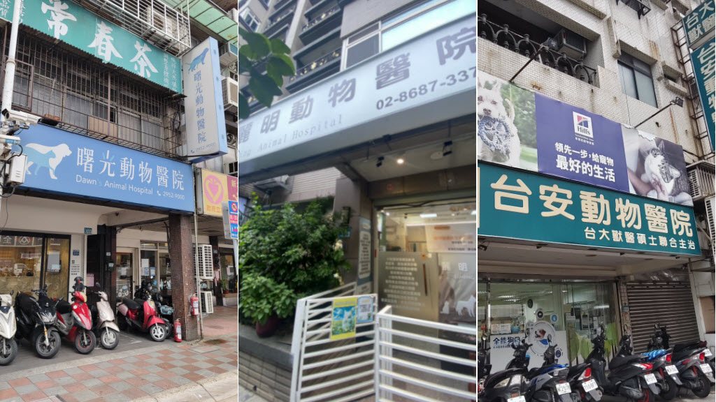 從陪伴走向照護 寵物醫療逐步融入現代生活日常