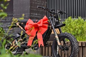 台中電動車品牌崛起 從風格日常到潮流改裝質感進化