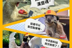 星夢森林劇場攜手麥當勞 快樂送動物夥伴登場