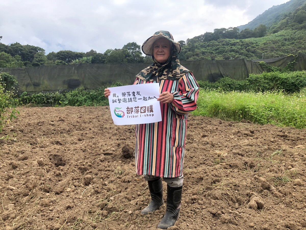 原住民小農親耕友善土地,邀您一起支持有機蔬菜宅配平台《部落e購》,從部落產地直送新鮮蔬果到您家(圖/Medick Marketing Ltd.提供)