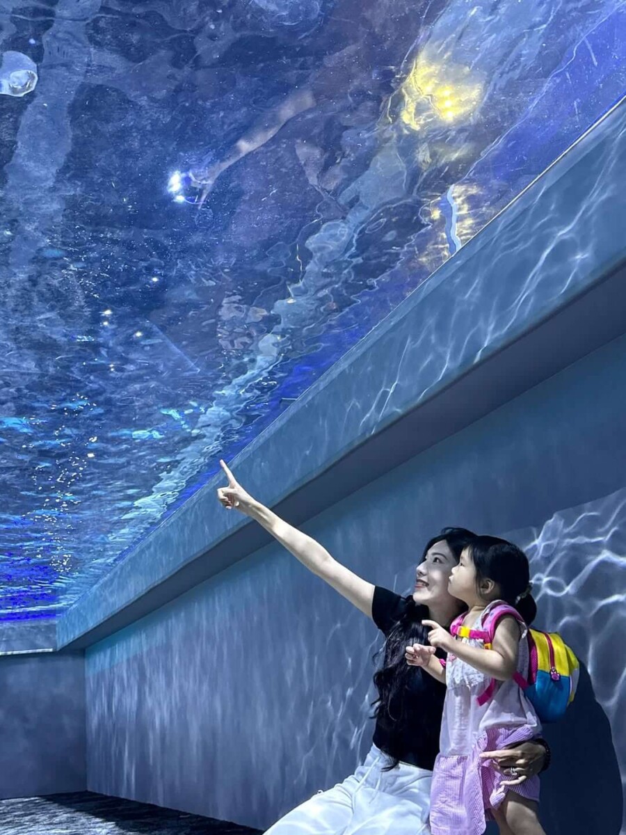 台中親子景點|台中海洋館