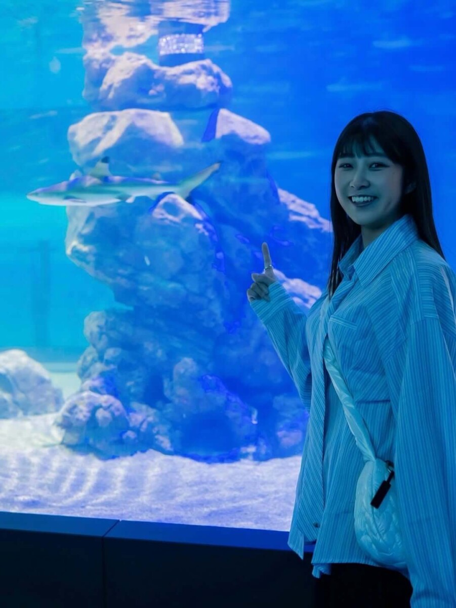 台中親子景點|台中海洋館