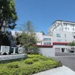 伸興11月營運蹲馬步 年減近3成