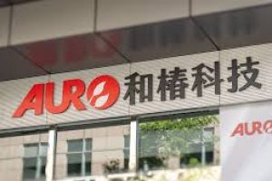 和椿前11月營收年增51％