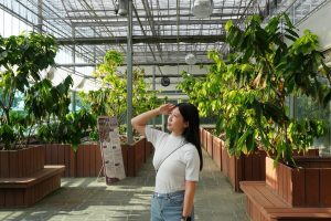 雲林一日遊｜土庫一日輕旅行 可可莊園、百年市場在地味、老宅鐘錶咖啡、順天宮散步路線