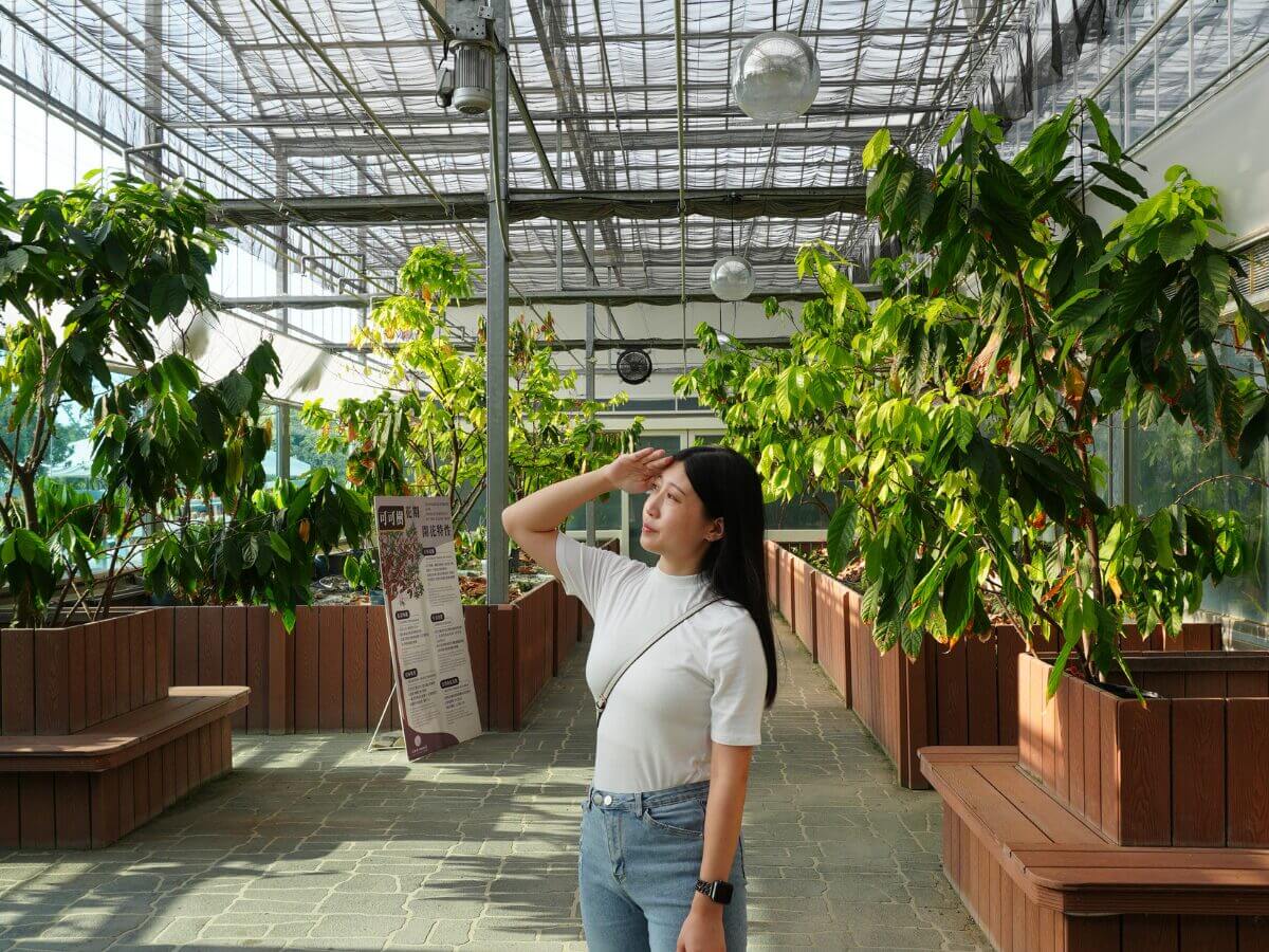 雲林一日遊｜土庫一日輕旅行 可可莊園、百年市場在地味、老宅鐘錶咖啡、順天宮散步路線