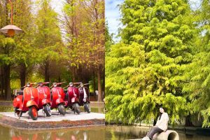 台中景點｜后里 3 大人間仙境一次玩！落羽松秘境、透明獨木舟、火炎山景觀餐廳全收錄