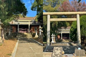 苗栗一日遊｜來苗栗別再去南庄老街啦！通霄私藏路線大公開～秘境景點＋銅板小吃 一條路線全收