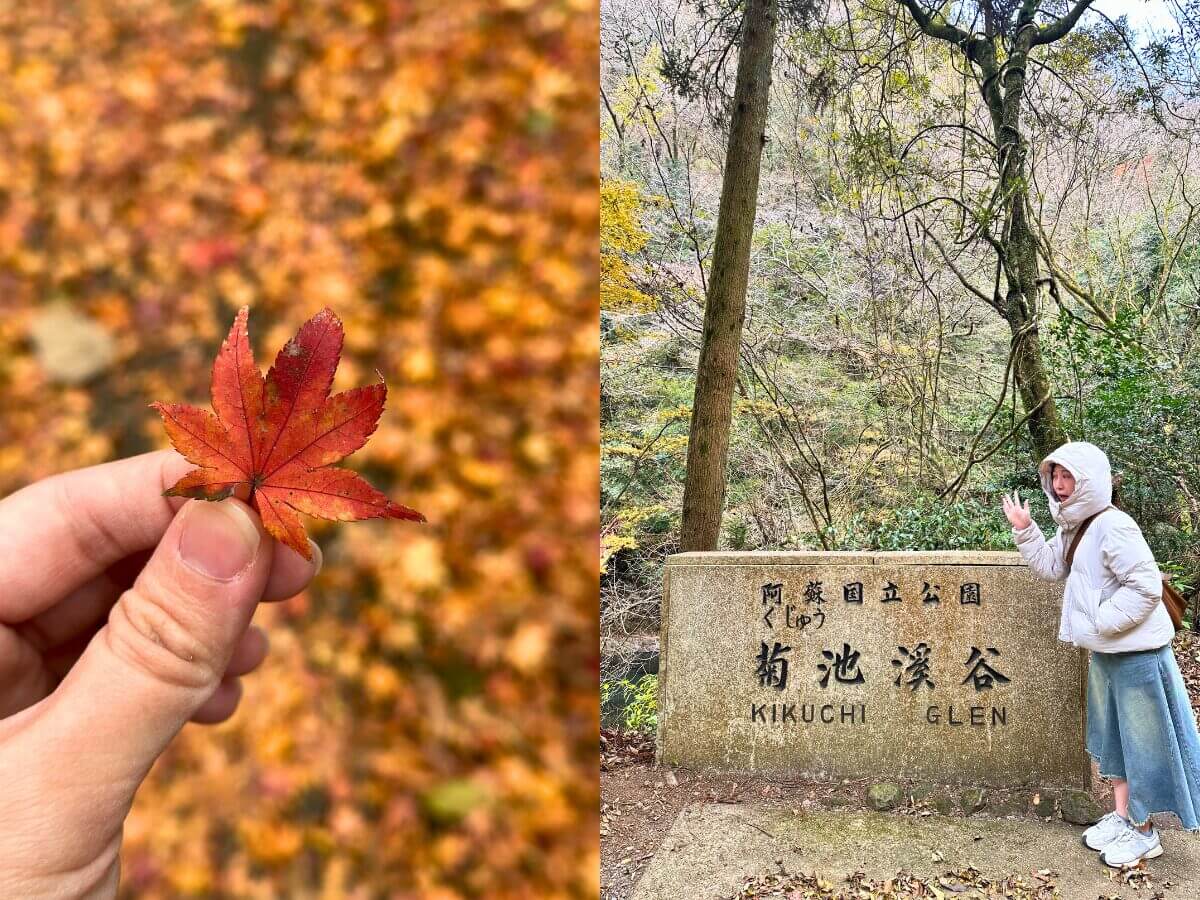 熊本菊池一日遊｜日幣大降必玩路線，菊池溪谷、道之驛、人氣美食推薦～