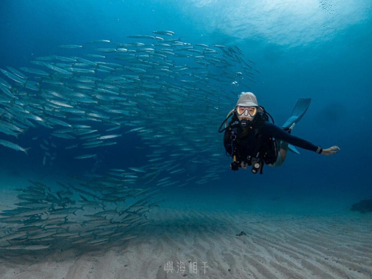 小琉球水肺潛水體驗，能近距離觀察豐富的海底生態，從海龜到珊瑚都清晰可見（圖/Medick Marketing Ltd.提供）