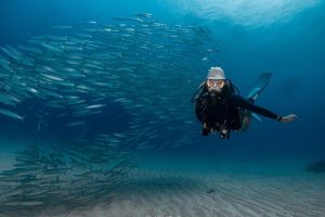 小琉球潛水課程 零經驗也能下潛 打開人生第一次藍色冒險