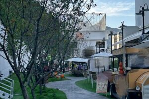 春節將至南投走春人氣旺　農場體驗成家庭旅遊新選擇