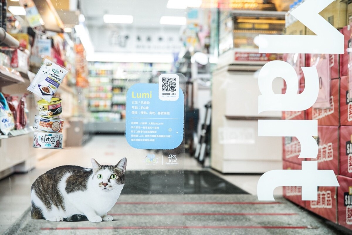2月22日是專屬貓咪的「貓之日」，全家便利商店變身「貓奴樂園」，網友直呼「今年貓之日真的太犯規」！（圖／記者周宸亘攝，下同）