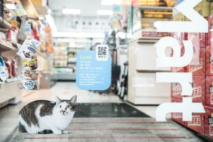 貓奴集合了！全家「貓之日」萌翻登場 巨貓現身、貓咪制服、黃金熱貓一次看