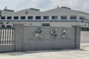 永續高機能材料接單暢旺 信立1月營收報喜