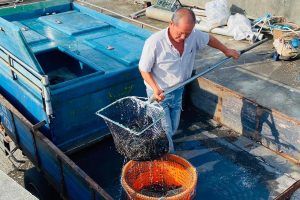宜蘭五結釣蝦場 釣蝦＋熱炒＋自助烤肉 雨天也能玩 打造全天候休閒空間