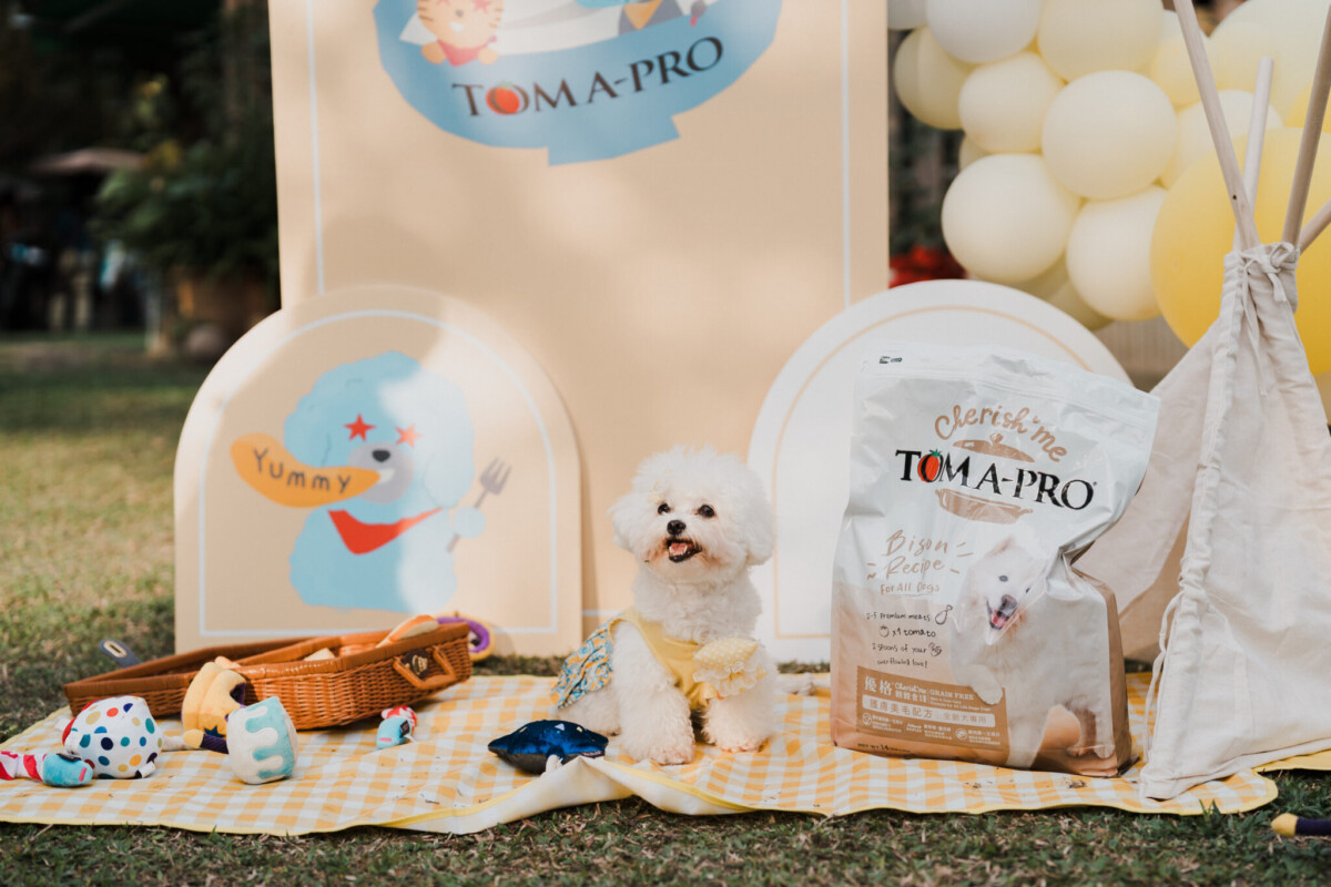 國民寵糧品牌「優格寵物食譜」日前在台北、台中、高雄舉辦總計四場《毛孩年終宴》，讓毛孩們擁有一場自己的專屬派對