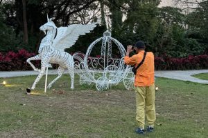 星光步道×飛馬馬車 大陳公園打造走春打卡點