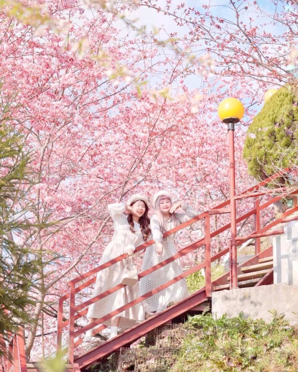 全台景點｜拉拉山恩愛農場