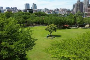 西屯土地近飽和 德鑫建設推「德鑫協和」 協和公園首排永久棟距成最強保值護城河