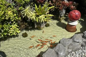 淨水界台灣之光 NOVATICS專利技術定義安心用水新標竿