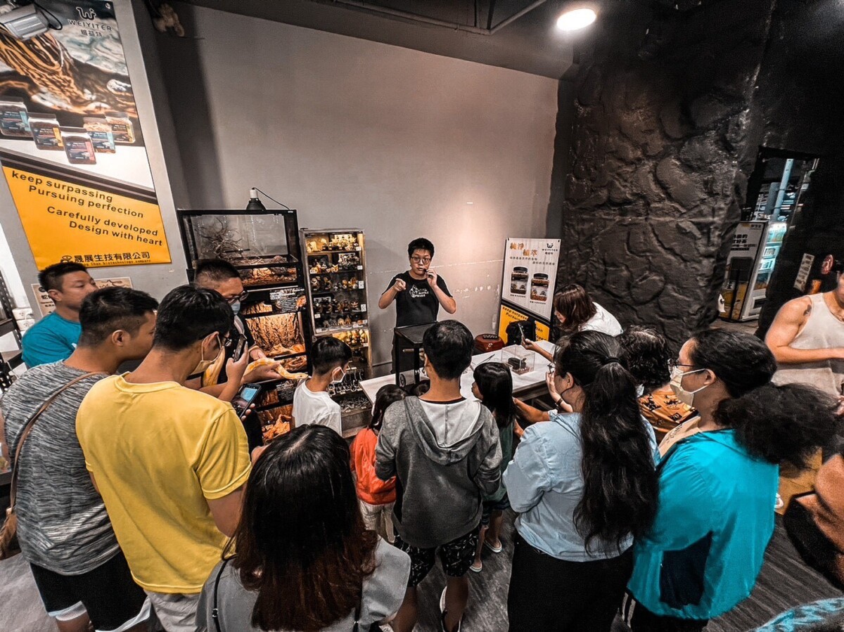 高雄爬蟲專賣店深耕在地 打造讓親子安心入門飼養體驗空間