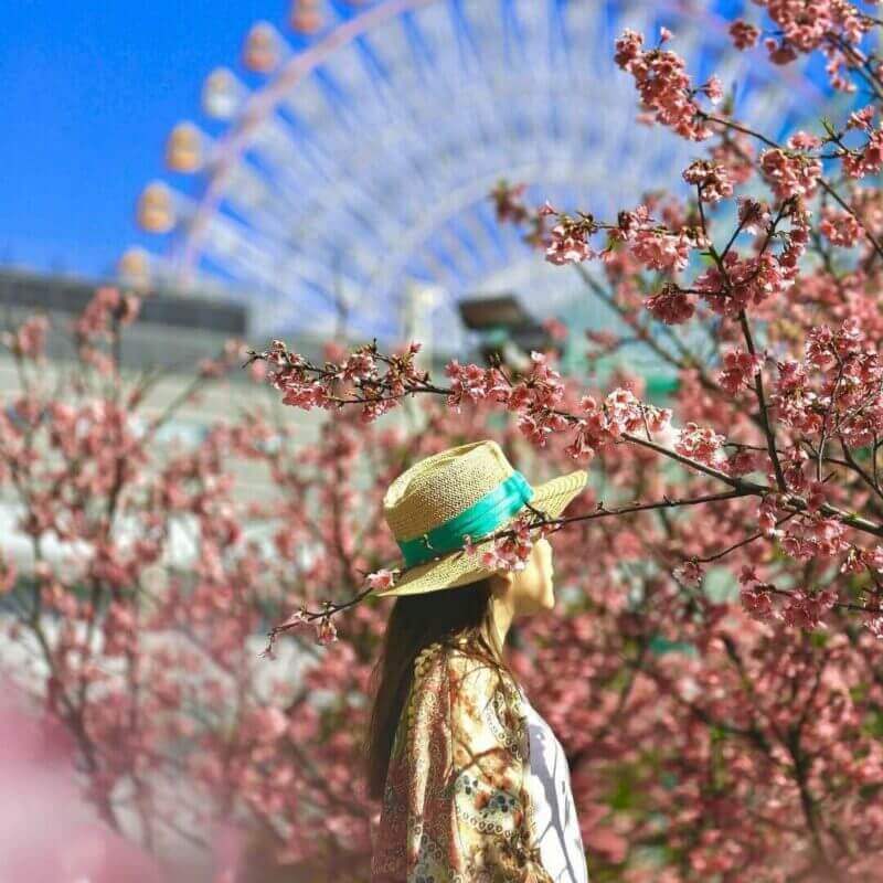 2026全台賞櫻景點｜前進如夢似幻的樂活公園、石壁風景區，見證粉紅爆擊！