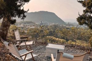 台南一日遊｜浪漫木棉花、百年的傳說奇景 靜待旅人來訪的蓮鄉白河