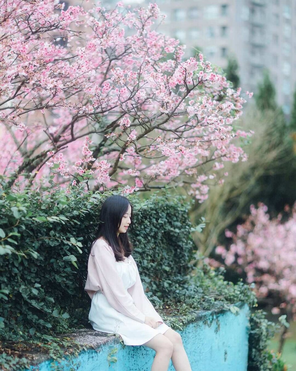 樂活公園櫻花步道