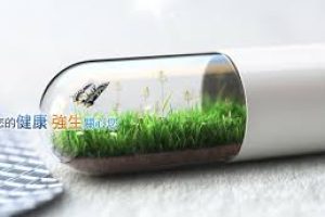 強生持續斥資3.5億元加碼投資健亞