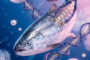 AI加速研發革新創造意識導入同源邏輯 建構Time Rewind時光回溯膠囊